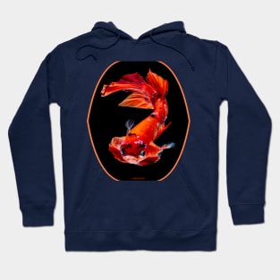 fish, cute fish, free fish, coral fish, fish coral, goldfish, pez, peces, pez colar, peces coral Hoodie